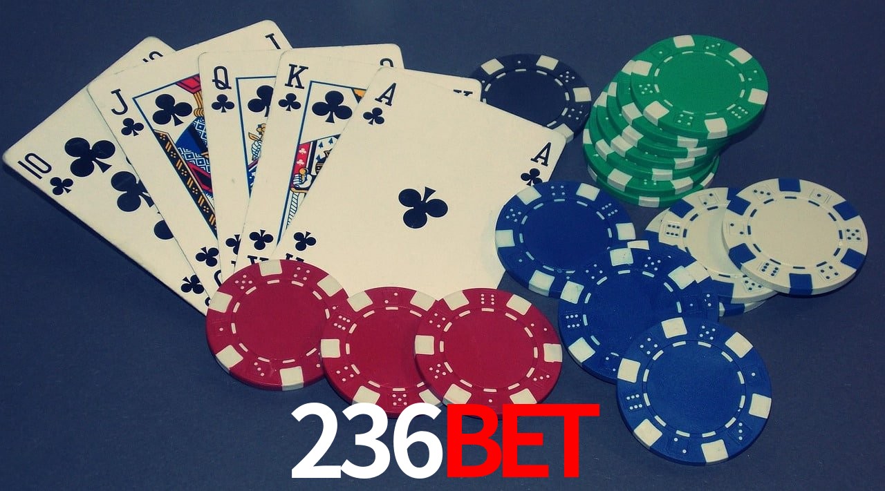 Game Statistics 236bet
