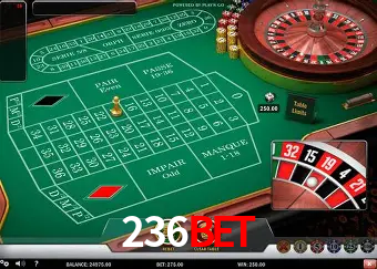 Cadastro rápido e seguro na 236bet