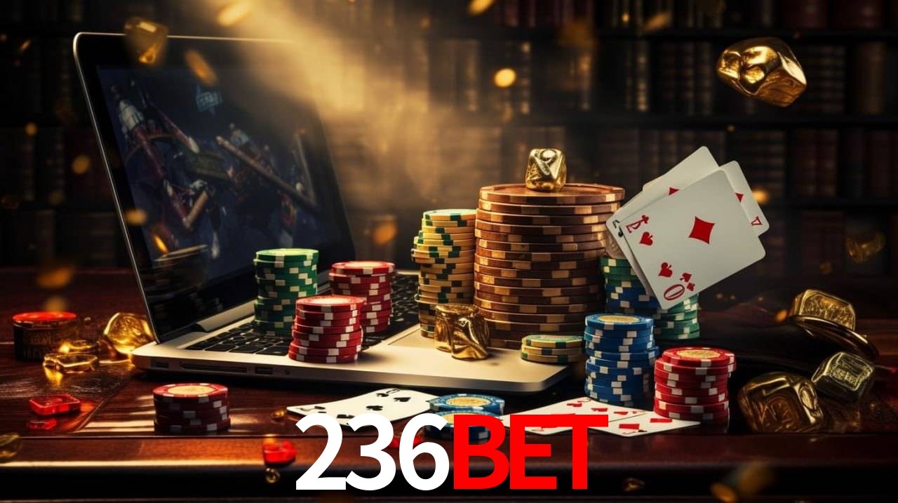 Bônus Diários 236bet